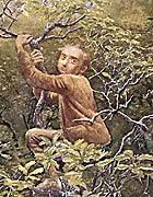 Click here to read a story about hobbits