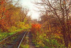 THE RAILROAD - photo by Dana Mad