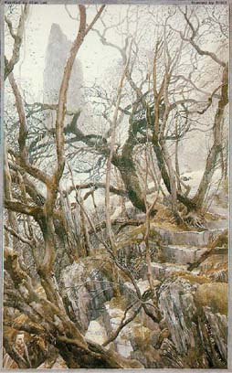 Picture by Alan Lee