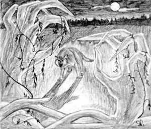 Drawing by Anna Hapova